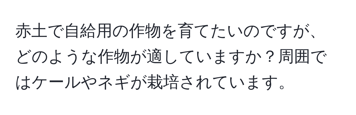 赤土で自給用の作物を育てたいのですが、どのような作物が適していますか？周囲ではケールやネギが栽培されています。