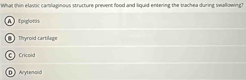 What thin elastic cartilaginous structure prevent food and liquid entering the trachea during swallowing?
A Epiglottis
B Thyroid cartilage
C Cricoid
DArytenoid