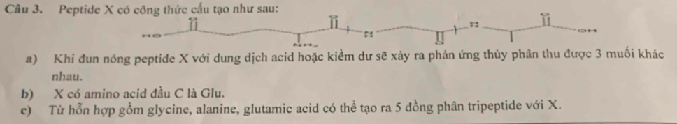 Peptide X có công thức cấu tạo như sau: 
ⅱ 
:: 
1 
a) Khi đun nóng peptide X với dung dịch acid hoặc kiềm dư sẽ xảy ra phản ứng thủy phân thu được 3 muối khác 
nhau. 
b) X có amino acid đầu C là Glu. 
c) Từ hỗn hợp gồm glycine, alanine, glutamic acid có thể tạo ra 5 đồng phân tripeptide với X.