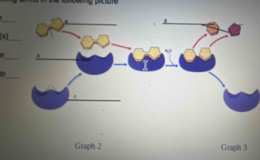 Graph 2 Graph 3