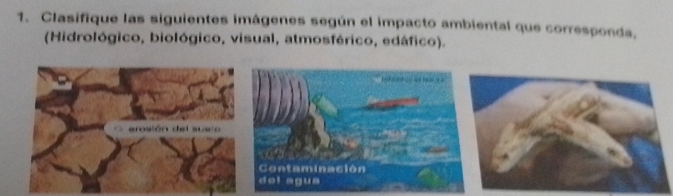 Clasifique las siguientes imágenes según el impacto ambiental que corresponda, 
(Hidrológico, biológico, visual, atmosférico, edáfico).