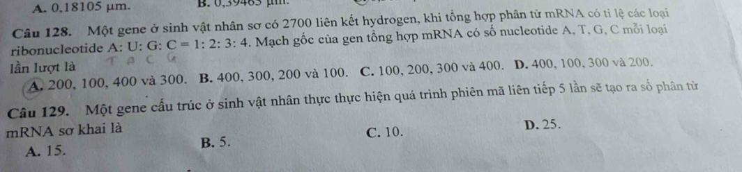 A. 0.18105 µm. B. 0,39485 µ
Câu 128. Một gene ở sinh vật nhân sơ có 2700 liên kết hydrogen, khi tổng hợp phân tử mRNA có tỉ lệ các loại
ribonucleotide A:U:G:C=1:2:3:4. Mạch gốc của gen tổng hợp mRNA có số nucleotide A, T, G, C mỗi loại
lần lượt là
A. 200, 100, 400 và 300. B. 400, 300, 200 và 100. C. 100, 200, 300 và 400. D. 400, 100, 300 và 200.
Câu 129. Một gene cấu trúc ở sinh vật nhân thực thực hiện quá trình phiên mã liên tiếp 5 lần sẽ tạo ra số phân từ
mRNA sơ khai là D. 25.
A. 15. B. 5. C. 10.