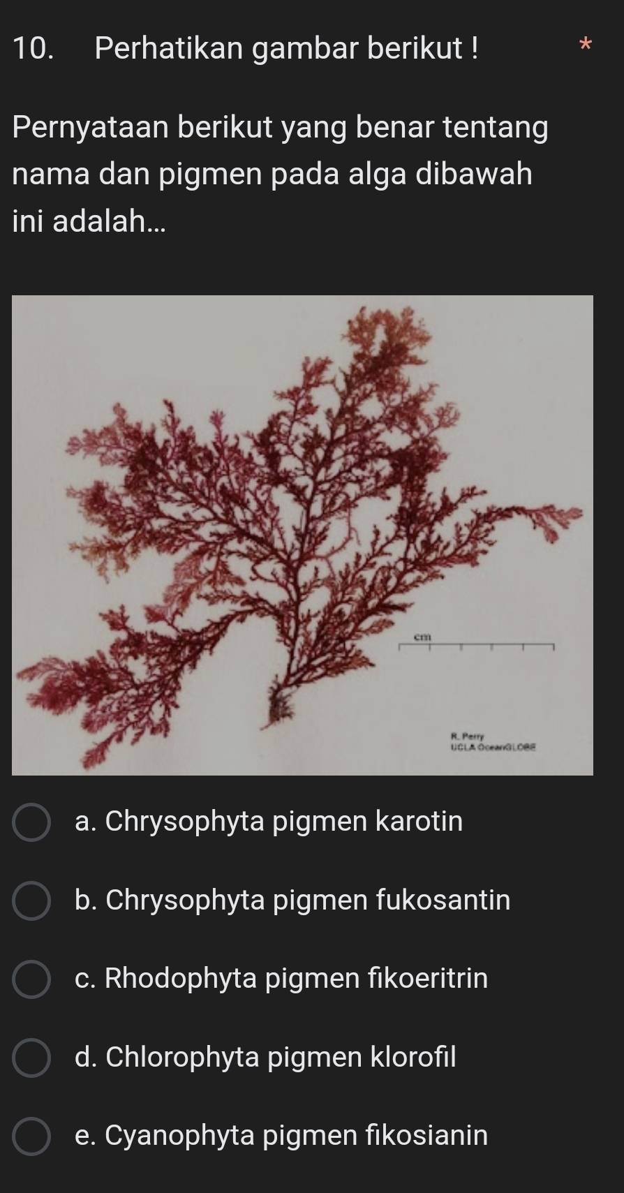 Perhatikan gambar berikut !
Pernyataan berikut yang benar tentang
nama dan pigmen pada alga dibawah
ini adalah...
a. Chrysophyta pigmen karotin
b. Chrysophyta pigmen fukosantin
c. Rhodophyta pigmen fikoeritrin
d. Chlorophyta pigmen klorofil
e. Cyanophyta pigmen fikosianin