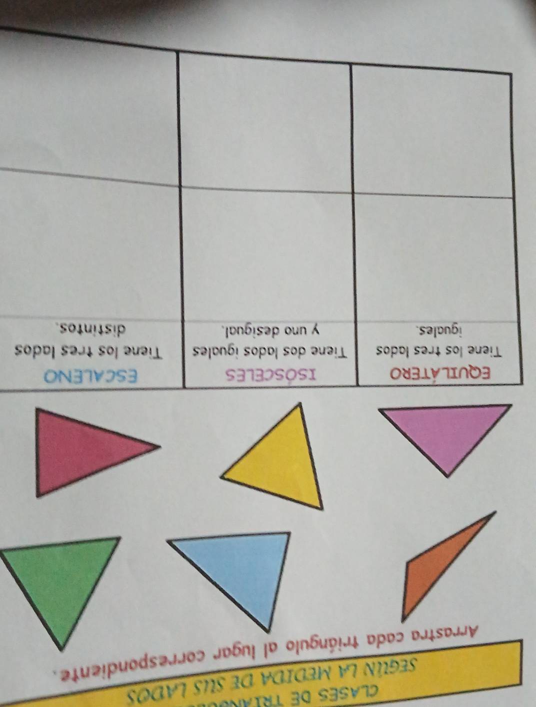 CLASES dE TrIan 
SEGúN LA MEDIDA DE SUS LADOS 
Arrastra cada triángulo al lugar correspondiente. 
s