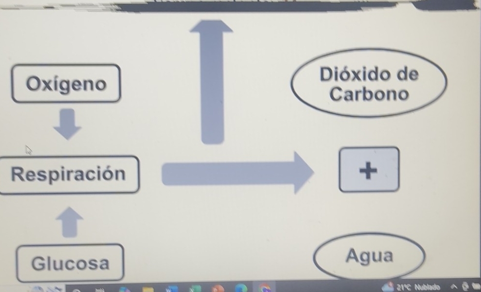 Oxígeno
Dióxido de
Carbono
Respiración +
Glucosa Agua
21º C Nublac