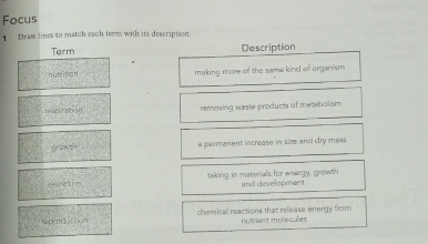 Focus
Draw lines to match each term with its description.
Term Description
nlitrition making more of the same kind of organism .
mapiation removing waste products of metabolism
powth a permanent increase in sze and dry mas .
e=retim taking in materials for energy, goowth and development
rpetidution chemical reactions that release energy from nutrient molecules