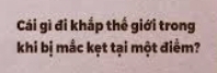 Cái gì đi khắp thế giới trong 
khi bị mắc kẹt tại một điểm?