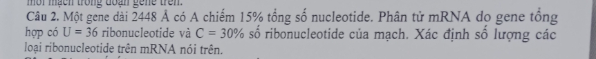 mor mach trong doan gene tren. 
Câu 2. Một gene dài 2448 Ả có A chiếm 15% tổng số nucleotide. Phân tử mRNA do gene tổng 
hợp có U=36 ribonucleotide và C=30% số ribonucleotide của mạch. Xác định số lượng các 
loại ribonucleotide trên mRNA nói trên.