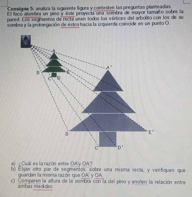 Consigna 5: analiza la siguiente figura y contesten las preguntas planteadas.
El foco alumbra un pino y éste proyecta una sombra de mayor tamaño sobre la
pared. Los segmentos de recta unen todos los vértices del arbolito con los de su
sombra y la prolongación de éstos hacia la izquierda coincide en un punto O.
a) ¿Cuál es la razón entre OA'y OA?
b) Elijan otro par de segmentos, sobre una misma recta, y verifiquen que
guardan la misma razón que OA' y OA.
c) Comparen la altura de la sombra con la del pino y anoten la relación entre
ambas medidas