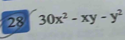 28 30x^2-xy-y^2