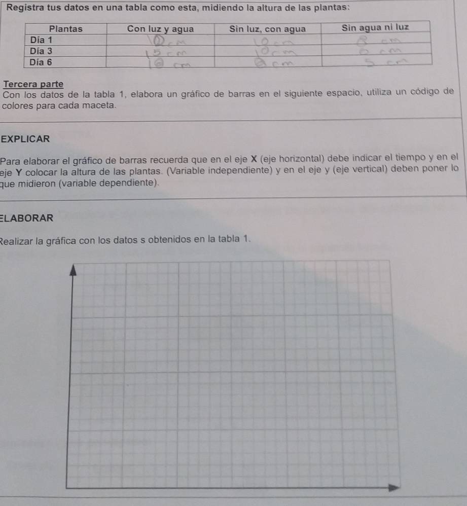 Registra tus datos en una tabla como esta, midiendo la altura de las plantas: 
Tercera parte 
Con los datos de la tabla 1, elabora un gráfico de barras en el siguiente espacio, utiliza un código de 
colores para cada maceta. 
EXPLICAR 
Para elaborar el gráfico de barras recuerda que en el eje X (eje horizontal) debe indicar el tiempo y en el 
eje Y colocar la altura de las plantas. (Variable independiente) y en el eje y (eje vertical) deben poner lo 
que midieron (variable dependiente). 
ELABORAR 
Realizar la gráfica con los datos s obtenidos en la tabla 1.