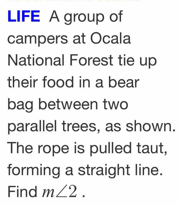 LIFE A group of 
campers at Ocala 
National Forest tie up 
their food in a bear 
bag between two 
parallel trees, as shown. 
The rope is pulled taut, 
forming a straight line. 
Find m∠ 2.