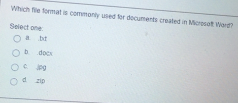 Solved: Which file format is commonly used for documents created in ...