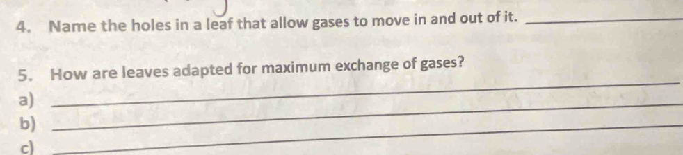 Name the holes in a leaf that allow gases to move in and out of it._ 
5. How are leaves adapted for maximum exchange of gases? 
a)_ 
_ 
b)_ 
c)