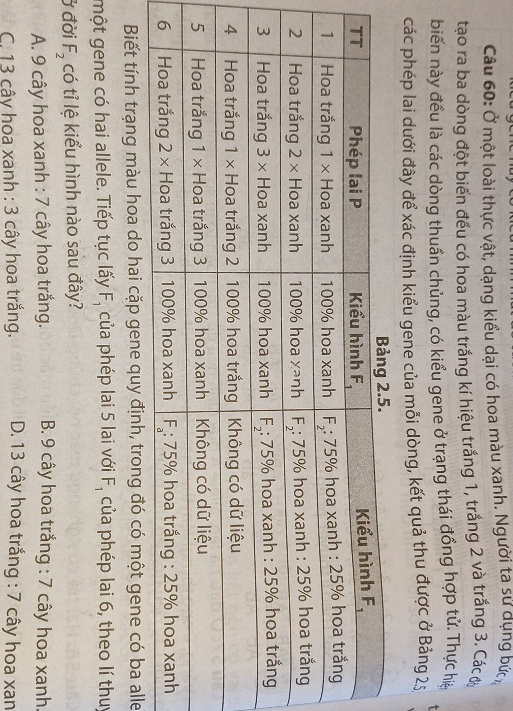 Ở một loài thực vật, dạng kiểu dại có hoa màu xanh. Người ta sử dụng bứ
tạo ra ba dòng đột biến đều có hoa màu trắng kí hiệu trắng 1, trắng 2 và trắng 3. Các độ
biến này đều là các dòng thuần chủng, có kiểu gene ở trạng thái đồng hợp tử. Thực hiệ
các phép lai dưới đây để xác định kiểu gene của mỗi dòng, kết quả thu được ở Bảng 25,
Biết tính trạng màu hoa do hai cặp gene quy định, trong đó có một gene có ba alle
một gene có hai allele. Tiếp tục lấy F_1 của phép lai 5 lai với F_1 của phép lai 6, theo lí thuy
ở đời F_2 có tỉ lệ kiểu hình nào sau đây?
A. 9 cây hoa xanh : 7 cây hoa trắng. B. 9 cây hoa trắng : 7 cây hoa xanh.
C. 13 cây hoa xanh : 3 cây hoa trắng. D. 13 cây hoa trắng : 7 cây hoa xan