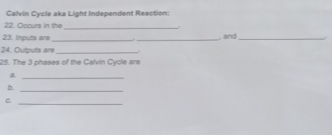 Calvin Cycle aka Light Independent Reaction: 
22. Occurs in the_ 
23. Inputs are_ ,_ , and_ 
24. Outputs are_ 
25. The 3 phases of the Calvin Cycle are 
a._ 
b._ 
C._