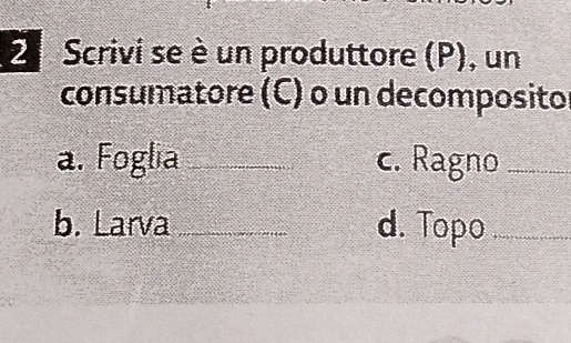 Scrivi se è un produttore (P), un 
consumatore (C) o un decompositor 
a. Foglia _c. Ragno_ 
b. Larva _d. Topo_