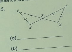 Y
5. V 、
Z
x
W
(a) 
_ 
(b) 
_