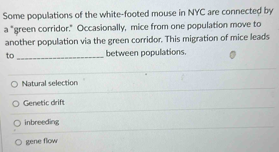 Some populations of the white-footed mouse in NYC are connected by
a “green corridor.” Occasionally, mice from one population move to
another population via the green corridor. This migration of mice leads
to _between populations.
Natural selection
Genetic drift
inbreeding
gene flow