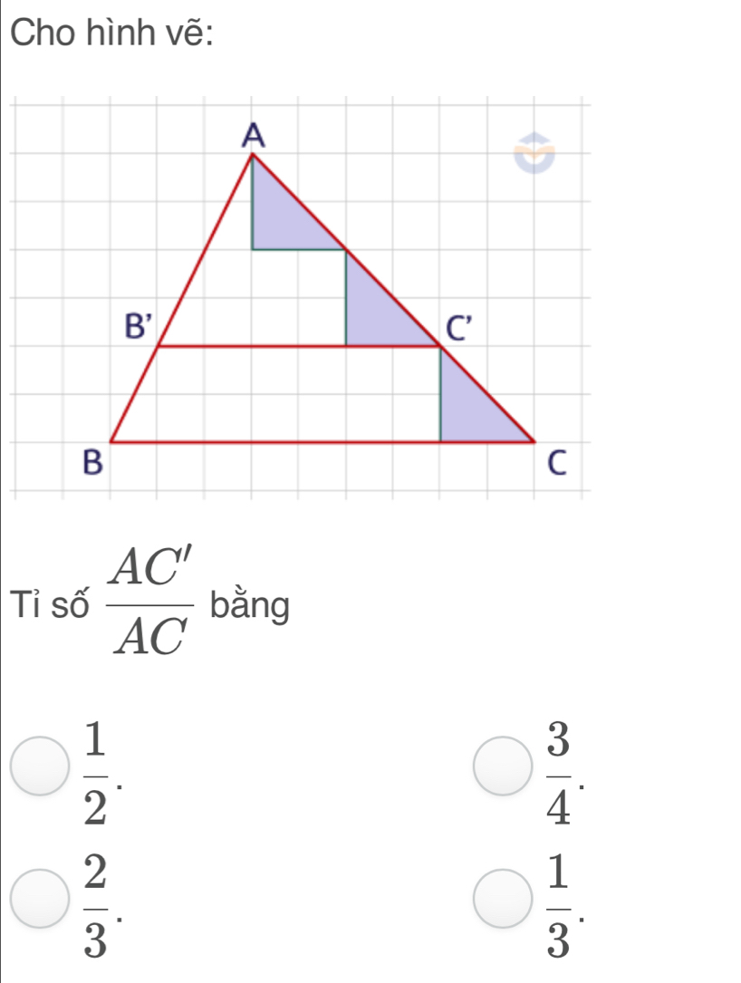 Cho hình vẽ:
Tỉ số  AC'/AC  bằng
 1/2 .
 3/4 .
 2/3 .
 1/3 .