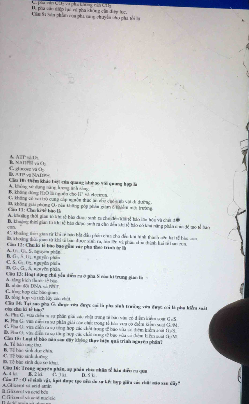 C. pha cản CO2 và pha không cần CO_2
D. pha cần diệp lục và pha không cần diệp lục.
Câu 9: Sản phẩm của pha sáng chuyển cho pha tồi là
A. ATP và O_2.
B. NADPH và O_2
C. glucose và O₂.
D. ATP và NADPH.
Câu 10: Điểm khác biệt của quang khử so với quang hợp là
A. không sử dụng năng lượng ánh sảng
B. không dùng H_2O ) là nguồn cho H* và electron.
C. không có vai trò cung cấp nguồn thức ăn cho các sinh vật dị dưỡng.
D. không giải phỏng O nên không góp phần giám ô nhiễm môi trường.
Câu 11: Chu kì tế bào là
A. khoảng thời gian từ khi tế bào được sinh ra cho đến khi tế bảo lão hóa và chết đi
B. khoảng thời gian từ khi tế bảo được sinh ra cho dến khi tế bào có khả năng phân chia dể tạo tế bảo
con.
C. khoảng thời gian từ khi tế bảo bắt đầu phân chia cho đến khi hình thành nên hai tế bào con.
D. khoảng thời gian từ khi tê bảo được sinh ra, lớn lên và phân chia thành hai tế bảo con.
Câu 12: Chu kì tế bào bao gồm các pha theo trình tự là
A. G G S, nguyên phân
B. G1, S, G2, nguyên phân
C. S, G₁, G₂, nguyên phân.
D. G_2,G_1, S, nguyên phân.
Câu 13: Hoạt động chủ yếu diễn ra ở pha S của kì trung gian là
A. tăng kích thước tế bảo
B. nhân đôi DNA và NST.
C. tổng hợp các bảo quan.
D. tổng hợp và tích lũy các chất.
Câu 14: Tại sao pha G u được vừa được coi là pha sinh trưởng vừa được coi là pha kiểm soát
của chu kì tế bào?
A. Pha G. vừa diễn ra sự phân giải các chất trong tế bào vừa có điểm kiểm soát G_1/S.
B. Pha Gi vừa diễn ra sự phân giải các chất trong tế bảo vừa có điểm kiểm soạt G t/M.
C. Pha Gị vừa diễn ra sự tổng hợp các chất trong tế bao vừa có điểm kiểm soát G_1/S.
D. Pha Gị vừa diễn ra sự tổng hợp các chất trong tế bảo vừa có điểm kiểm soát G_1/M
Câu 15: Loại tế bào nào sau dây không thực hiện quá trình nguyên phân?
A. Tế bảo ung thư
B. Tể bảo sinh dục chín.
C. Tế bào sinh dưỡng
D. Tể bào sinh dục sơ khai.
Câu 16: Trong nguyên phân, sự phân chia nhân tế bào diễn ra qua
A. 4 ki. B. 2 ki. C. 3 ki D. 5 ki.
Câu 17:O i sinh vật, lipít được tạo nên do sự kết hợp giữa các chất nào sau dhat ay ?
A.Glixerol và acid amin
B.GlixeroI và acid béo
C.Glixerol và acid nucleic
D Acid am