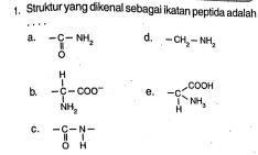 Struktur yang dikenal sebagai ikatan peptida adalah
a. _0^((-C-NH_2))
d. -CH_2-NH_2
b. -∈tlimits _NH_3^H-cos 0^- e. beginarrayr -cooH lendarray beginarrayr COOH NH_3endarray
C. .beginarrayr -C-N- 0Hendarray