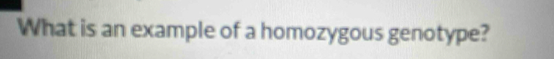 What is an example of a homozygous genotype?