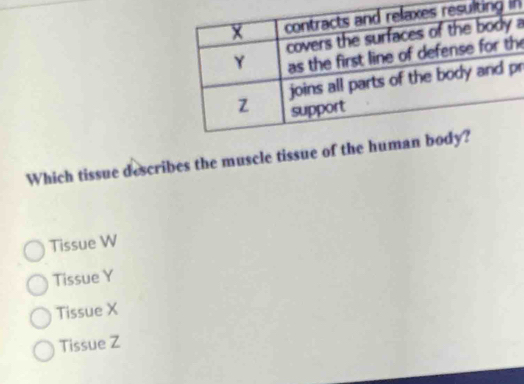 in
a
e
r
Which tissue describes the muscle tissue of the human
Tissue W
Tissue Y
Tissue X
Tissue Z