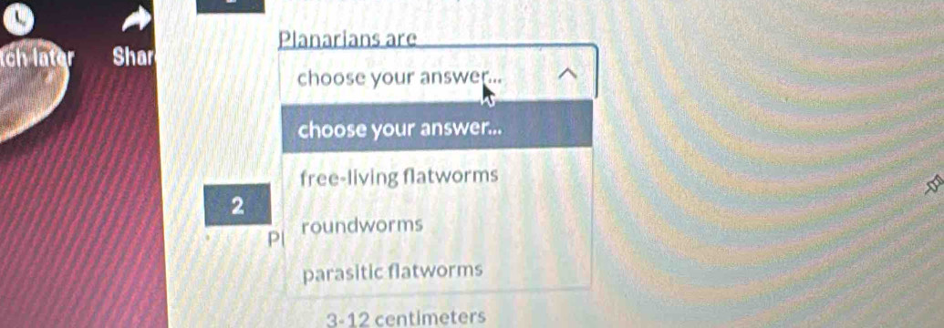 Planarians are
tch later Shar
choose your answer..
choose your answer...
free-living flatworms
2
P roundworms
parasitic flatworms
3-12 centimeters