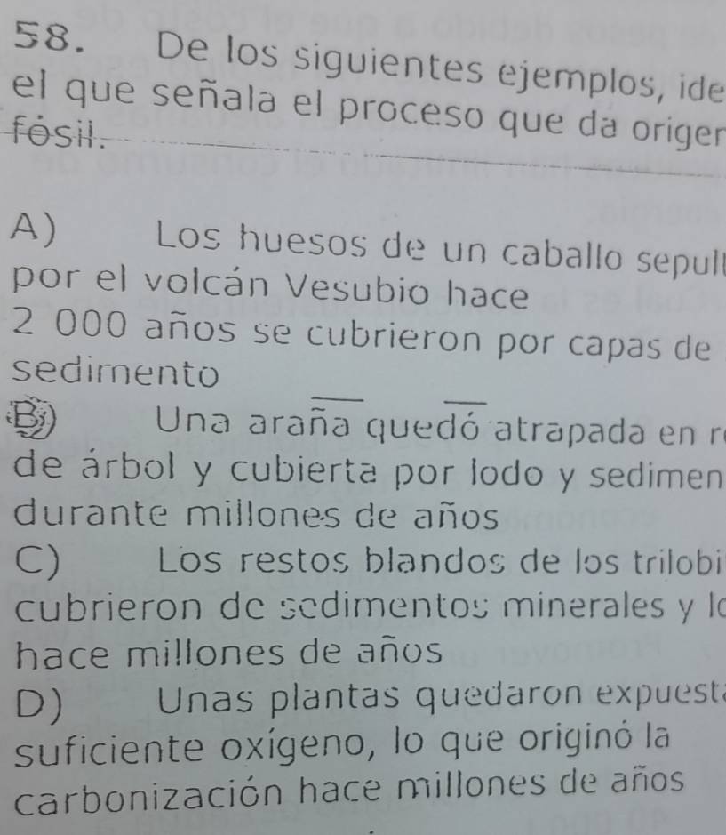 De los siguientes ejemplos, ide
el que señala el proceso que da origer
fósil.
A) Los huesos de un caballo sepul
por el volcán Vesubio hace
2 000 años se cubrieron por capas de
_
sedimento
Una araña quedó atrapada en r
de árbol y cubierta por lodo y sedimen 
durante millones de años
C) Los restos blandos de los trilobi
cubrieron de sedimentos minerales y lo
hace millones de años
D) Unas plantas quedaron expuest
suficiente oxígeno, lo que originó la
carbonización hace millones de años