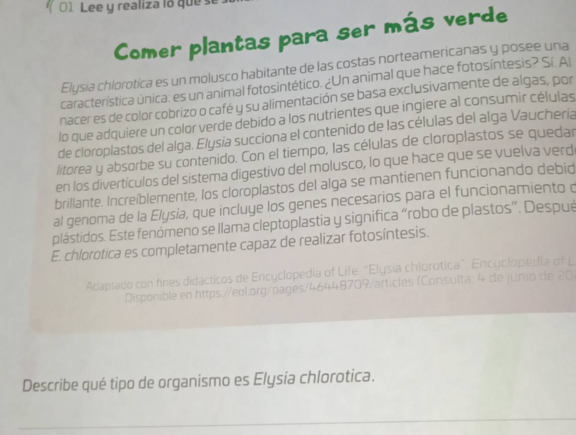 Lee y realiza lo que s 
Comer plantas para ser más verde 
Elysia chlorotica es un molusco habitante de las costas norteamericanas y posee una 
característica única: es un animal fotosintético. ¿Un animal que hace fotosíntesis? Sí. Al 
nacer es de color cobrizo o café y su alimentación se basa exclusivamente de algas, por 
lo que adquiere un color verde debido a los nutrientes que ingiere al consumir células 
de cloroplastos del alga. Elysia succiona el contenido de las células del alga Vaucheria 
litorea y absorbe su contenido. Con el tiempo, las células de cloroplastos se quedar 
en los divertículos del sistema digestivo del molusco, lo que hace que se vuelva verd 
brillante. Increíblemente, los cloroplastos del alga se mantienen funcionando debid 
al genoma de la Elysia, que incluye los genes necesarios para el funcionamiento o 
plástidos. Este fenómeno se llama cleptoplastia y significa “robo de plastos". Despué 
E. chlorotica es completamente capaz de realizar fotosíntesis. 
Adaptado con fines didácticos de Encyclopedia of Life. "Elysia chlorotica". Encyclopedia of 
Disponible en https://eol.org/pages/46448709/articles (Consulta: 4 de junio de 20 
Describe qué tipo de organismo es Elysia chlorotica.