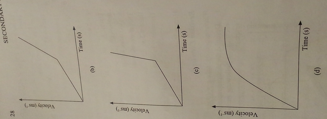 SECONDAR 
28 
(b) 
Time (s) 
(c) 
(d)