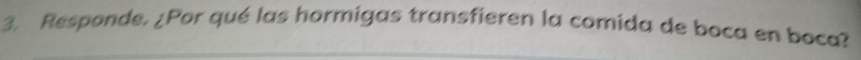 Responde. ¿Por qué las hormigas transfieren la comida de boca en boca?
