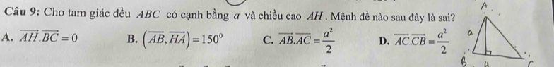 Cho tam giác đều ABC có cạnh bằng a và chiều cao AH . Mệnh đề nào sau đây là sai?
A. vector AH.vector BC=0 B. (overline AB,overline HA)=150° C. overline AB.overline AC= a^2/2  D. overline AC.overline CB= a^2/2 