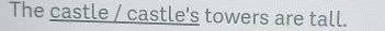 The castle / castle's towers are tall.