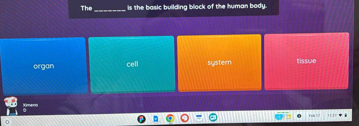 The_ is the basic building block of the human body.
organ cell system tissue
Ximena
D
Feb 17 11:27