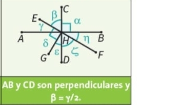 AB y CD son perpendiculares y
beta =gamma /2.