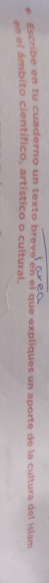 Escribe en tu cuaderno un texto breve en el que expliques un aporte de la cultura del Islam 
en el ámbito científico, artístico o cultural.