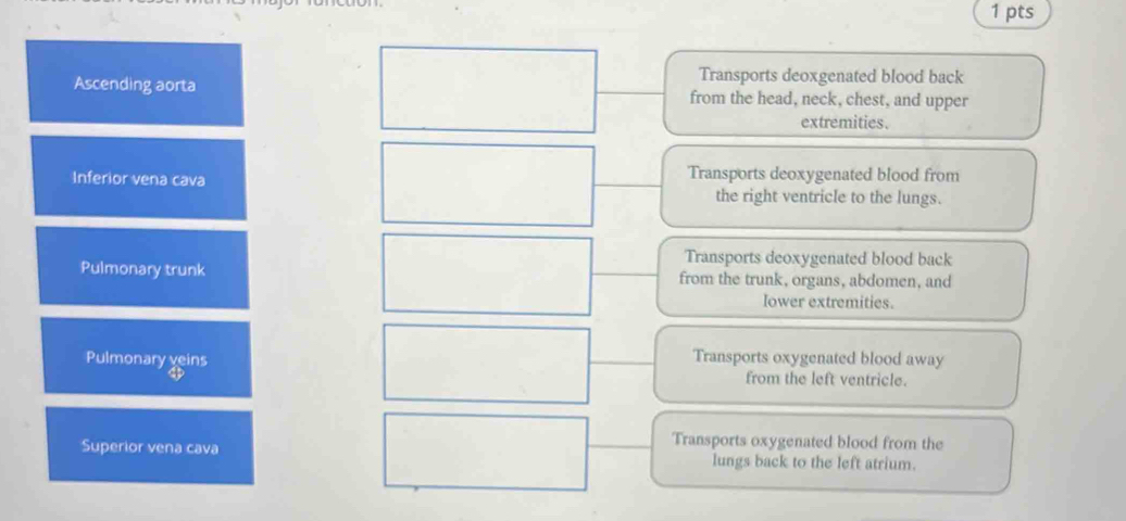 Transports deoxgenated blood back
Ascending aorta from the head, neck, chest, and upper
extremities.
Inferior vena cava Transports deoxygenated blood from
the right ventricle to the lungs.
Transports deoxygenated blood back
Pulmonary trunk from the trunk, organs, abdomen, and
lower extremities.
Pulmonary yeins Transports oxygenated blood away
a
from the left ventricle.
Superior vena cava
Transports oxygenated blood from the
lungs back to the left atrium.