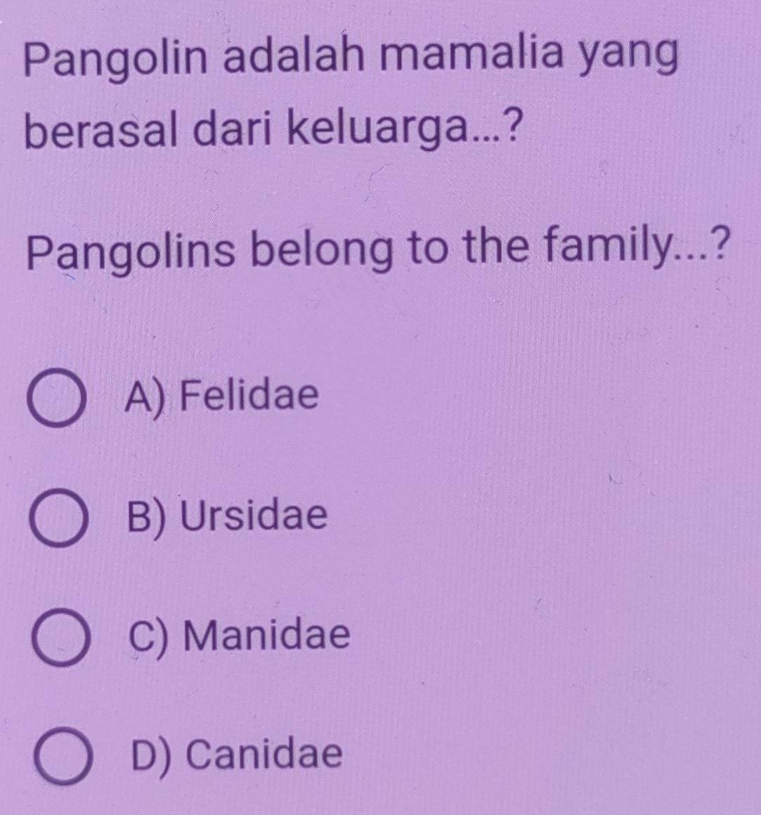 Pangolin adalah mamalia yang
berasal dari keluarga...?
Pangolins belong to the family...?
A) Felidae
B) Ursidae
C) Manidae
D) Canidae