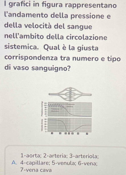 grafici in figura rappresentano
l’andamento della pressione e
della velocità del sangue
nell’ambito della circolazione
sistemica. Qual è la giusta
corrispondenza tra numero e tipo
di vaso sanguigno?
1-aorta; 2 -arteria; 3 -arteriola;
A. 4 -capillare; 5 -venula; 6 -vena;
7-vena cava