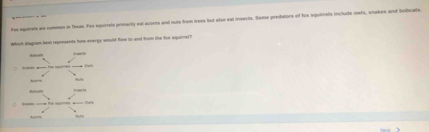 Fox squirrels are common in Texas. Fox squirrels primarily eat acorns and nuts from trees but also eat insects. Some predators of fox squirrels include owls, snakes and bobcats.
Which diagram best represents how energy would flow to and from the fox squirrel?
Bobcats Insects
Snakes — Fox squirrels Owls
Acorns Nots
Bobcats Insects
Snakes === Fox siquirrels == Owls
Acoms Nuts
Next