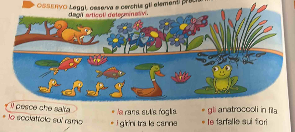 OSSERVO Leggi, osserva e cerchia gli elementi ee
il pesce che salta
la rana sulla foglia gli anatroccoli in fila
lo scoiattolo sul ramo
i girini tra le canne le farfalle sui fiori