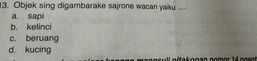 Objek sing digambarake sajrone wacan yaiku ....
a. sapi
b. kelinci
c. beruang
d. kucing
mangsuli pitakonan nomor 14 ngant