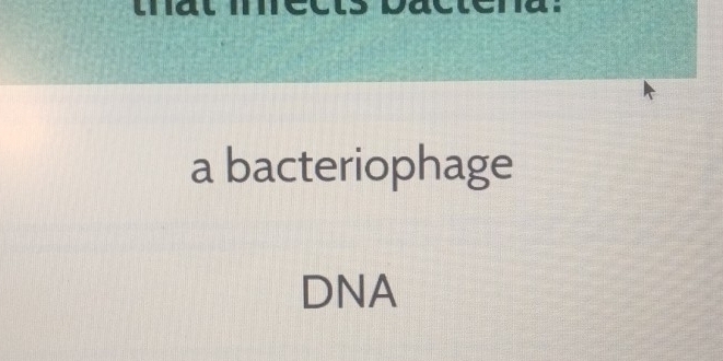 tat mects pactena. 
a bacteriophage 
DNA