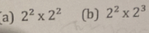 2^2* 2^2 (b) 2^2* 2^3