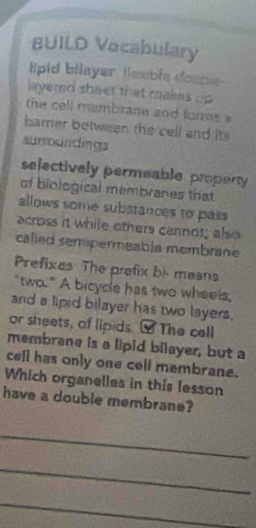 BUILD Vocabulary 
lipid blayer (exible doable 
layerd sheet that makes up 
the cell mambrane and torms a 
bamer between the cell and its 
surroundings 
selectively permeable property 
of biological membranes that 
allows some substances to pass 
across it while others cannot; also 
cafled sempermeabla membrane 
Prefixas The prefix bi- means 
"two." A bicycle has two wheels, 
and a lipid bilayer has two layers. 
or sheets, of lipids. [ The cell 
membrane is a lipid bilayer, but a 
cell has only one cell membrane. 
Which organelles in this lesson 
have a double membrane? 
_ 
_ 
_