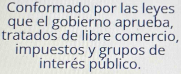 Conformado por las leyes 
que el gobierno aprueba, 
tratados de libre comercio, 
impuestos y grupos de 
interés público.