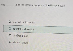 The _lines the internal surface of the thoracic wall.
visceral peritoneum
parietal pericardium
parietal pleura
visceral pleura