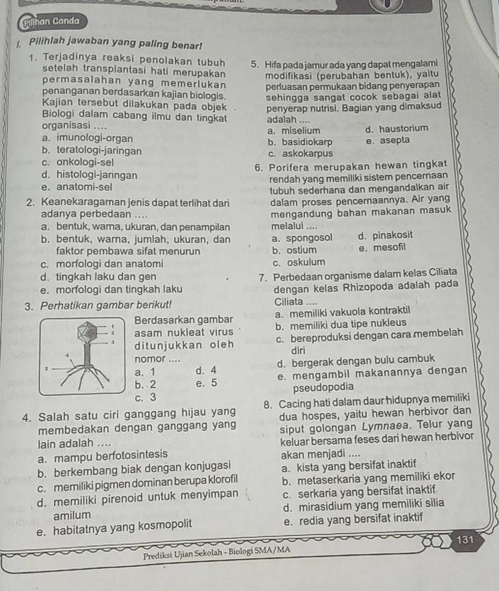 Piljhan Canda
. Pilihlah jawaban yang paling benar!
1. Terjadinya reaksi penolakan tubuh 5. Hifa pada jamur ada yang dapat mengalami
setelah transplantasi hati merupakan modifikasi (perubahan bentuk), yaitu
permasalahan yang memeriukan perluasan permukaan bidang penyerapan
penanganan berdasarkan kajian biologis.
Kajian tersebut dilakukan pada objek sehingga sangat cocok sebagai alat 
penyerap nutrisi. Bagian yang dimaksud
Biologi dalam cabang ilmu dan tingkat adalah ....
organisasi .... a. miselium
a. imunologl-organ b. basidiokarp d. haustorium
b. teratologi-jaringan c. askokarpus e. asepla
c. onkologi-sel
d. histologi-jaringan 6. Porifera merupakan hewan tingkat
e. anatomi-sel rendah yang memiliki sistem pencernaan
tubuh sederhana dan mengandalkan air
2. Keanekaragaman ienis dapat terlihat dari dalam proses pencernaannya. Air yang
adanya perbedaan ....
a. bentuk, wama, ukuran, dan penampilan melalui .... mengandung bahan makanan masuk
b. bentuk, warna, jumlah, ukuran, dan a. spongosol d. pinakosit
faktor pembawa sifat menurun b. ostium
c. morfologi dan anatomi c. oskulum e. mesofil
d. tingkah laku dan gen
7. Perbedaan organisme dalam kelas Ciliata
e. morfologi dan tingkah laku dengan kelas Rhizopoda adalah pada
3. Perhatikan gambar berikut! Ciliata …
Berdasarkan gambar a. memiliki vakuola kontraktil
asam nukleat virus b. memiliki dua tipe nukleus
ditunjukkan oleh c. bereproduksi dengan cara membelah
nomor .... diri
a. 1 d. 4 d. bergerak dengan bulu cambuk
b. 2 e. 5 e. mengambil makanannya dengan
c. 3 pseudopodia
4. Salah satu ciri ganggang hijau yang 8. Cacing hati dalam daur hidupnya memiliki
dua hospes, yaitu hewan herbivor dan
membedakan dengan ganggang yang siput golongan Lymnaea. Telur yang
lain adalah ....
keluar bersama feses dari hewan herbivor
a. mampu berfotosintesis akan menjadi ....
b. berkembang biak dengan konjugasi a. kista yang bersifat inaktif
c. memiliki pigmen dominan berupa klorofil b. metaserkaria yang memiliki ekor
d. memiliki pirenoid untuk menyimpan c. serkaria yang bersifat inaktif.
amilum d. mirasidium yang memiliki silia
e. habitatnya yang kosmopolit e. redia yang bersifat inaktif
131
Prediksi Ujian Sekolah - Biologi SMA/MA